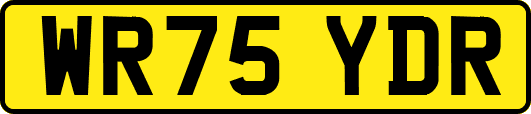 WR75YDR