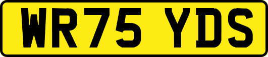 WR75YDS