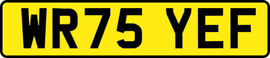 WR75YEF