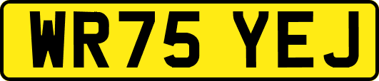 WR75YEJ