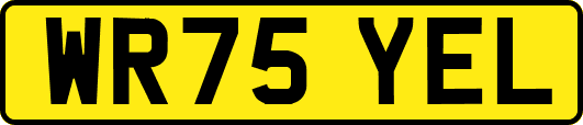 WR75YEL