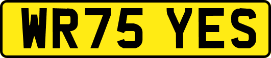 WR75YES