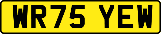 WR75YEW