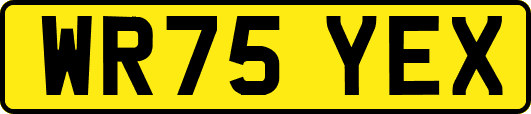 WR75YEX