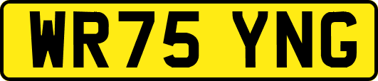WR75YNG