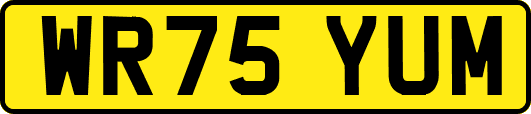 WR75YUM