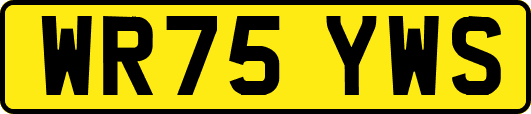WR75YWS