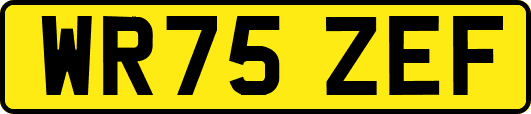 WR75ZEF