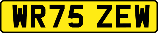 WR75ZEW
