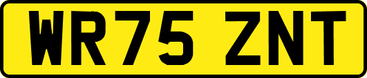 WR75ZNT
