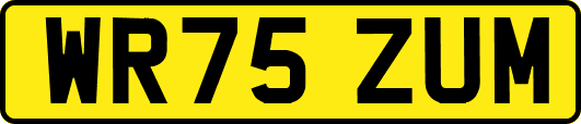 WR75ZUM