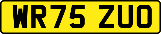 WR75ZUO