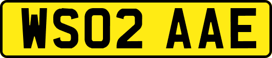 WS02AAE