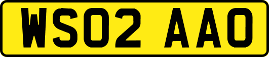 WS02AAO