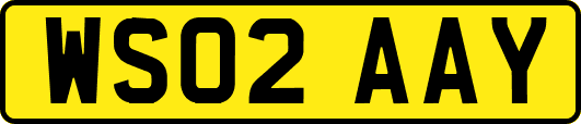 WS02AAY