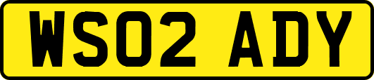 WS02ADY