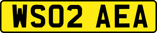WS02AEA
