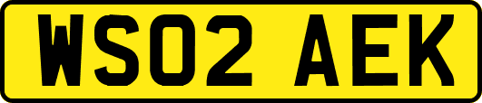 WS02AEK