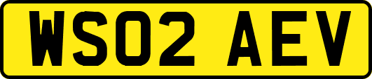 WS02AEV