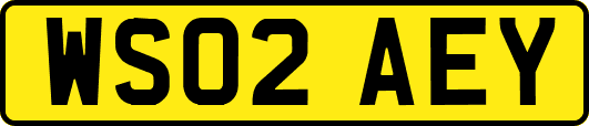 WS02AEY