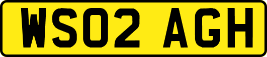 WS02AGH