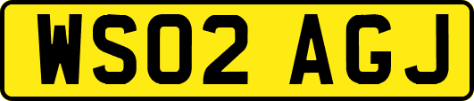 WS02AGJ