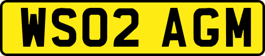WS02AGM