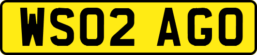 WS02AGO