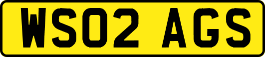 WS02AGS