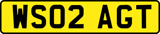 WS02AGT