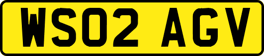 WS02AGV