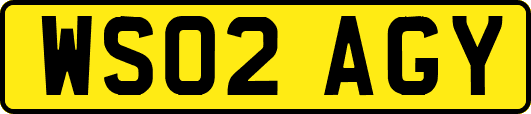 WS02AGY