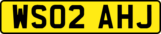 WS02AHJ