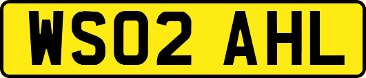 WS02AHL