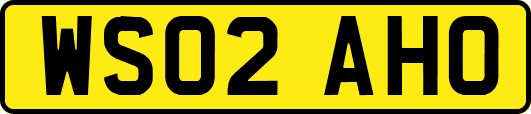 WS02AHO