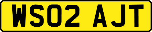 WS02AJT