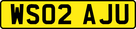 WS02AJU