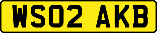 WS02AKB