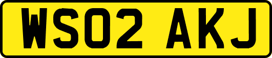 WS02AKJ