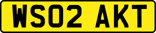 WS02AKT