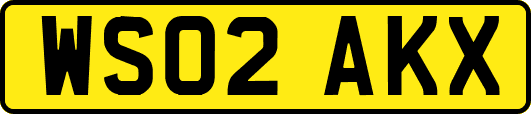 WS02AKX