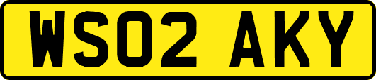WS02AKY