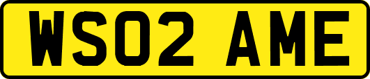 WS02AME