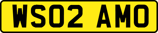 WS02AMO