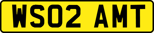 WS02AMT