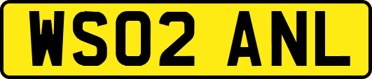 WS02ANL