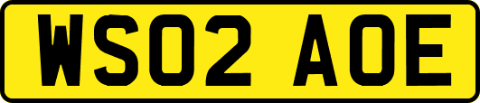 WS02AOE