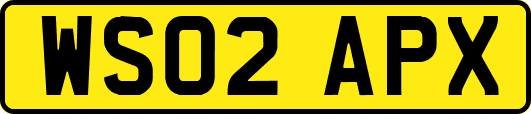 WS02APX