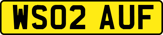 WS02AUF