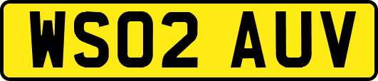 WS02AUV